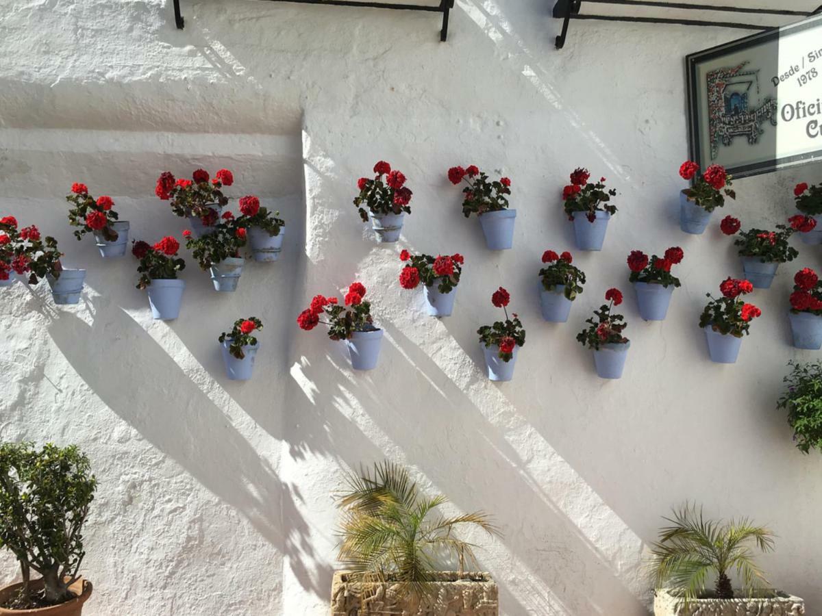 Mediterranean Dream II - Studio Torremolinos Exterior photo